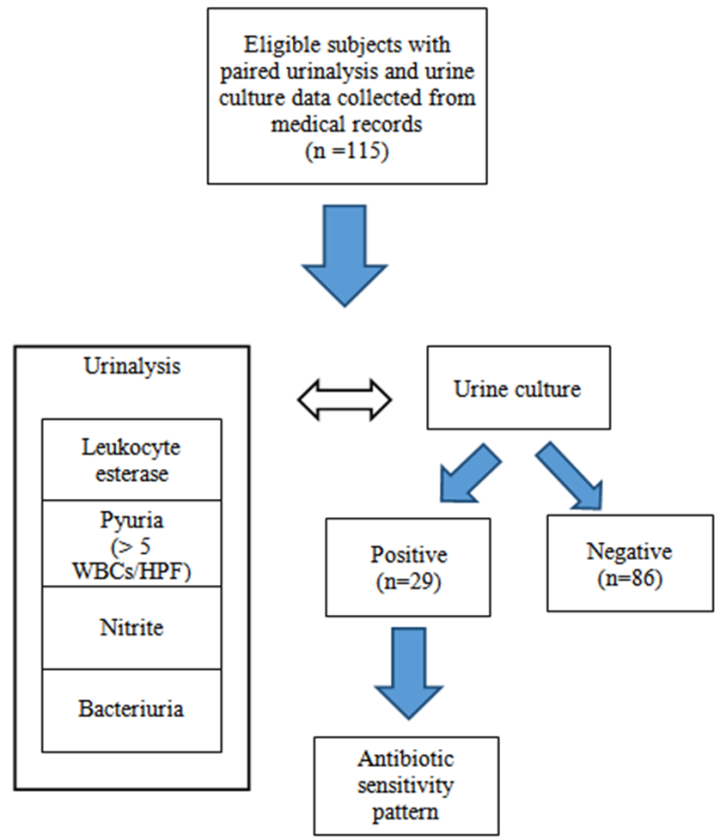 Figure Flow Of Method Accuracy Of Urinalysis For Urinary Tract Infection In Months To