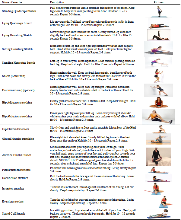 Stretching Exercises To Prevent Work related Musculoskeletal Disorders 