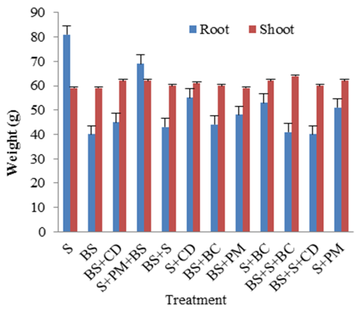 Figure 4 Percentage Water Loss Comparative Growth Response Of Maize 