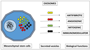 Figure1