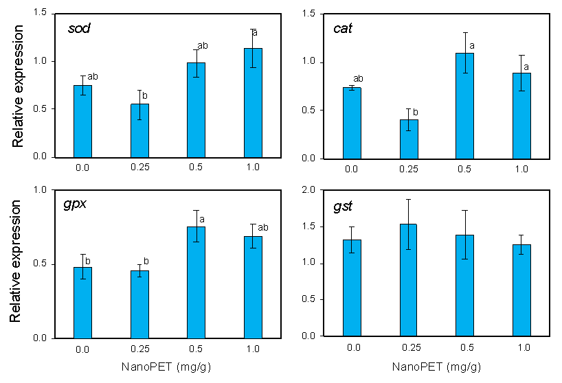 Figure 4. Expression of antioxidant enzymes superoxide dismutase (sod), catalase (cat), glutathione peroxidase (gpx), and glutathione-S-transferase (gst) : Ingestion Effect of Polyethylene Terephthalate (PET) Nanoparticles on Juveniles of Shrimp ... Figure 4. Expression of antioxidant enzymes superoxide dismutase (sod), catalase (cat), glutathione peroxidase (gpx), and glutathione-S-transferase (gst) : Ingestion Effect of Polyethylene Terephthalate (PET) Nanoparticles on Juveniles of Shrimp ...