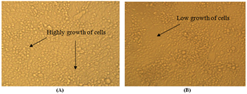 Figure6