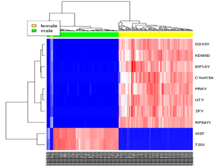 Figure 1. Heatmap of the gender-specific gene expression in AML ...