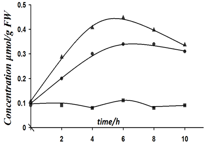 Figure 2. Hydrogen peroxide H2O2 concentrations µmol.g-1 fresh weight ...