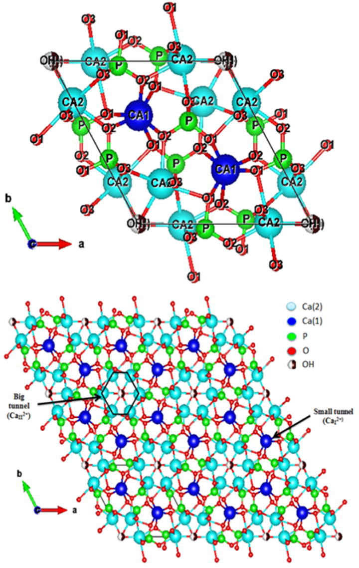 Figure 4. Projection of refined hydroxyapatite onto the (001) plane ...