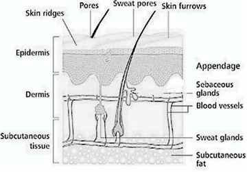 Figure1