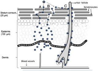 Figure2