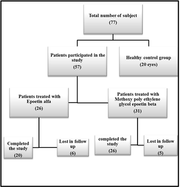 Figure1