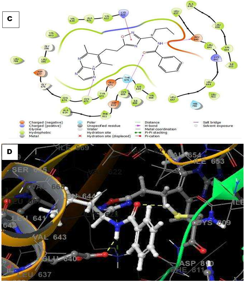 Figure 9. 2D (C) and 3D (D) binding mode of the compound Z1685831021 in ...