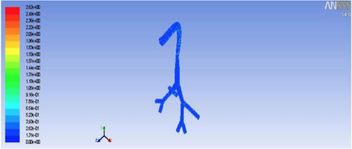 Figure 7. Recording of the particulate maximum velocity : 3D Modeling ...