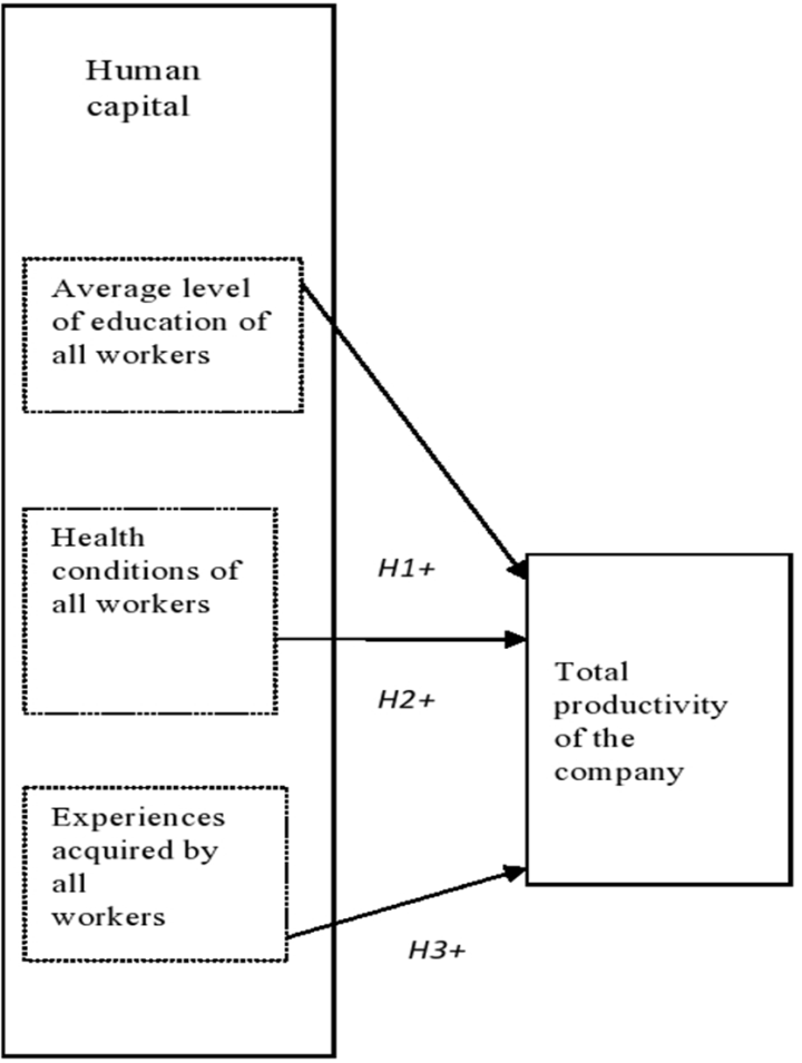 Figure 1. Theoretical model of the impact of human capital on the total ...