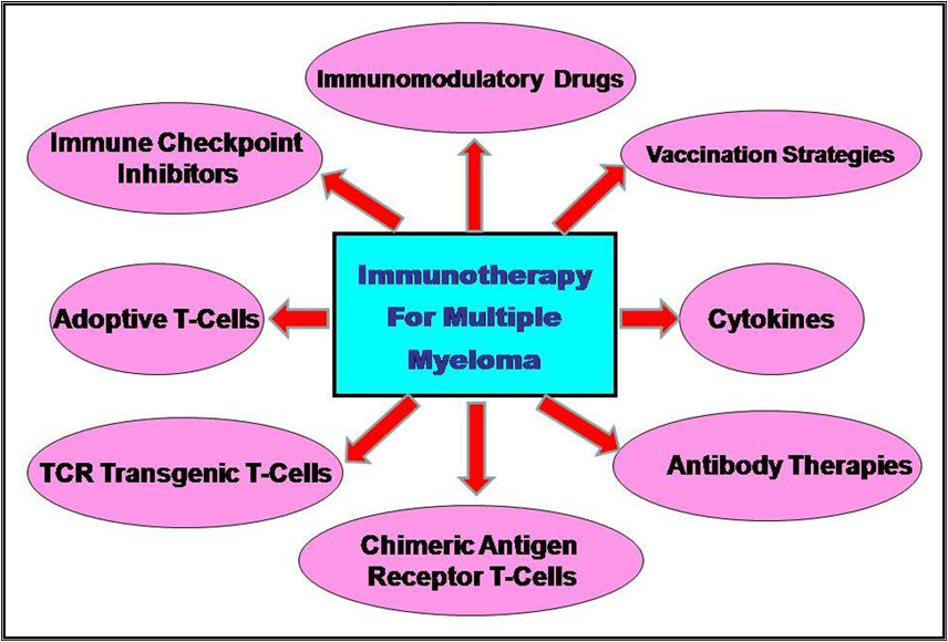 Figure 1. Immunotherapy for Multiple Myeloma : Multiple Myeloma: New ...