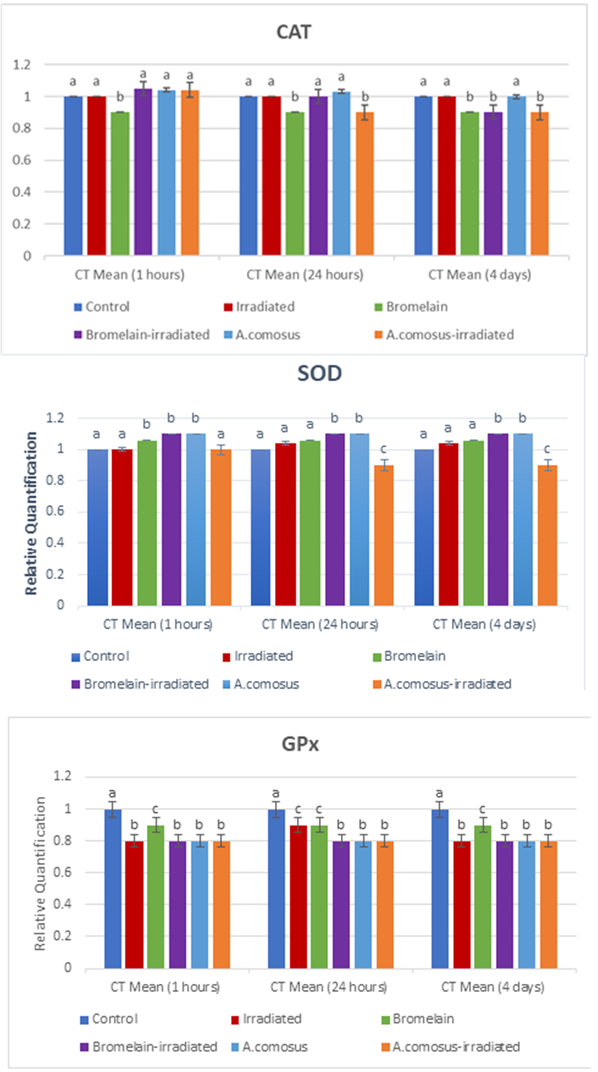 Figure 4. Effect of gamma irradiation on expression of catalase (CAT) (A),  superoxide dismutase (SOD) (B), and glutathione peroxidase (GPx) (C) in rat  ovaries. Real-time polymerase chain reaction was normalized to the