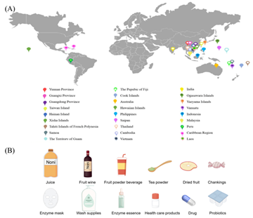 Review on the Bioactive Constituents, Health Benefits, and Safety