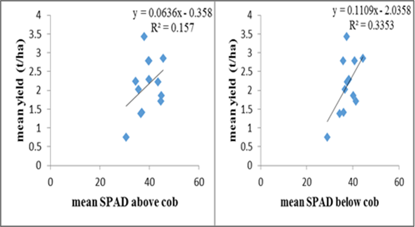 Figure 4. Estimated linear relationship between mean SPAD above/below ...